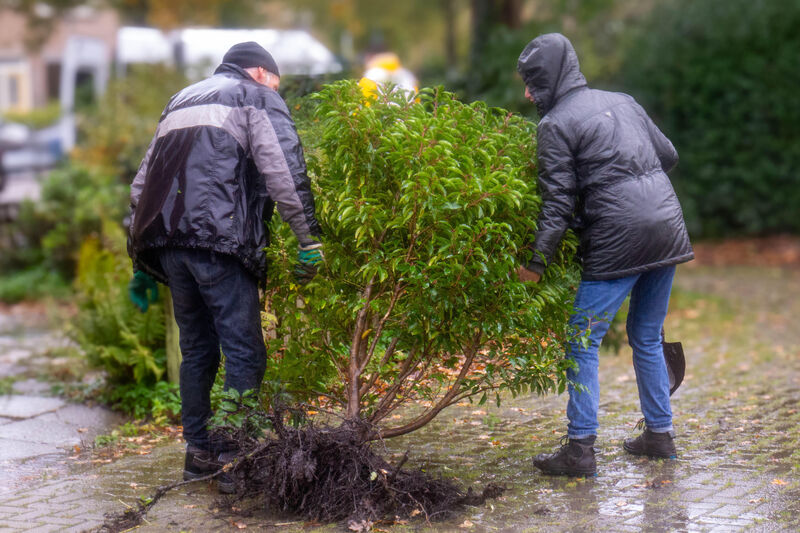 Hergebruik van groen