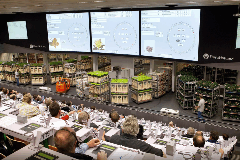 Voormalige locatie FloraHolland te Bleiswijk 